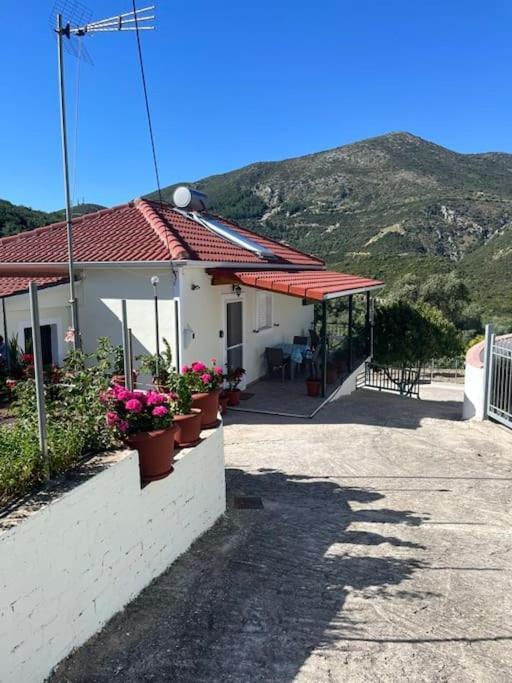 Alex House Apartment Parga Ngoại thất bức ảnh